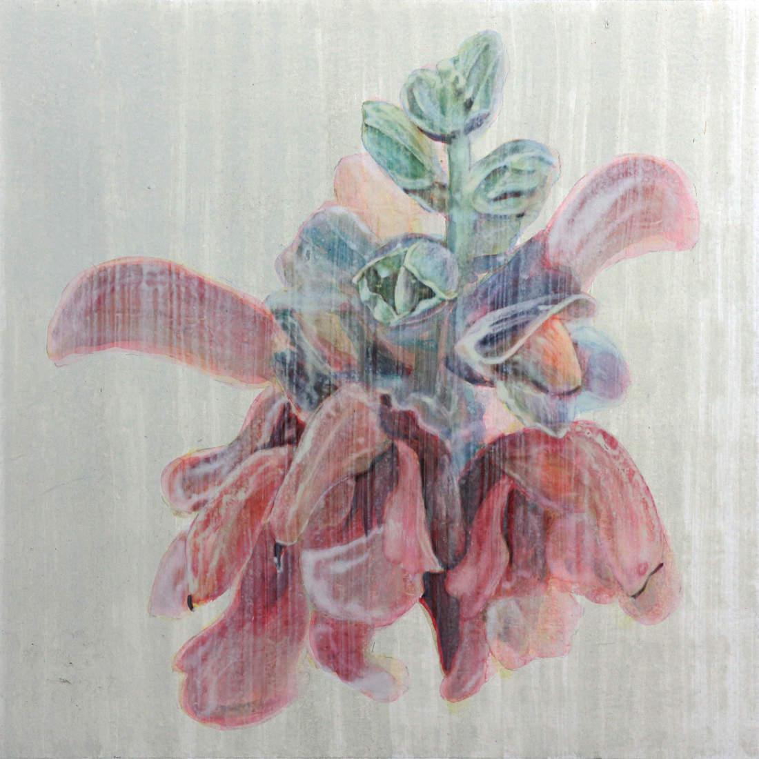 Wayne Vivier - Local image 162